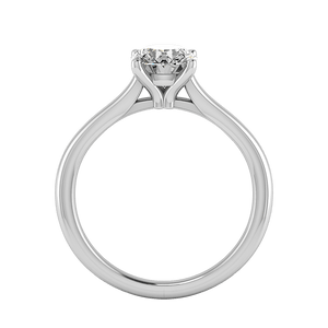 Nova Cathedral Solitaire Engagement Ring in $14K White Gold 18K White Gold Platinum$